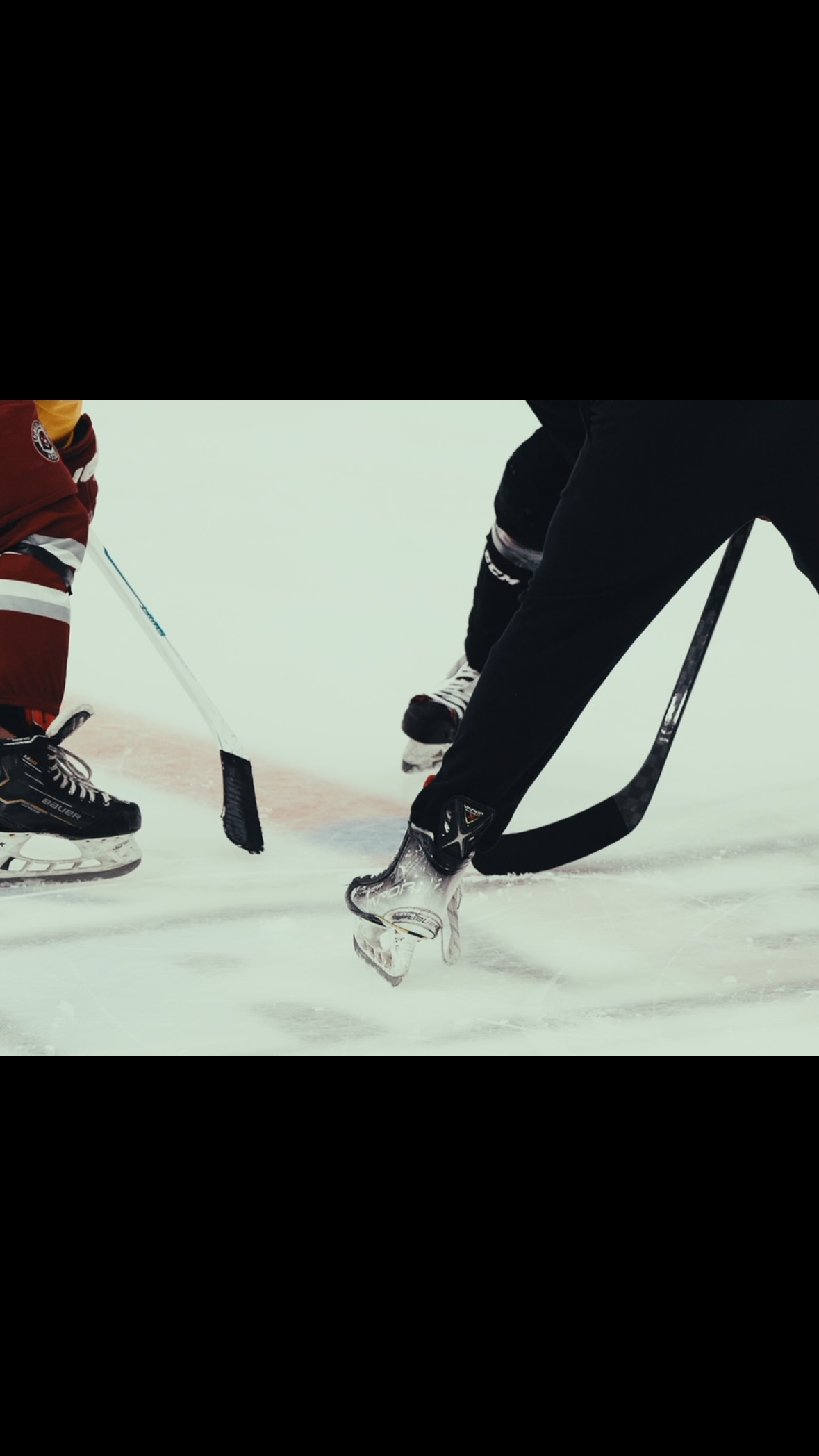 The real work starts now 🏒

#TalonsUp
