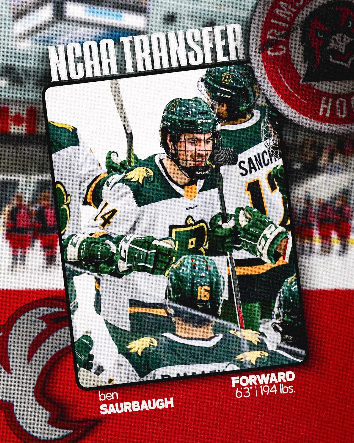 🚨Transfer Alert!🚨

Join us in welcoming Ben Saurbaugh, a forward joining us by way of the SUNY-Brockport Golden Eagles (@brockport_hockey) of NCAA D3. 

#TalonsUp